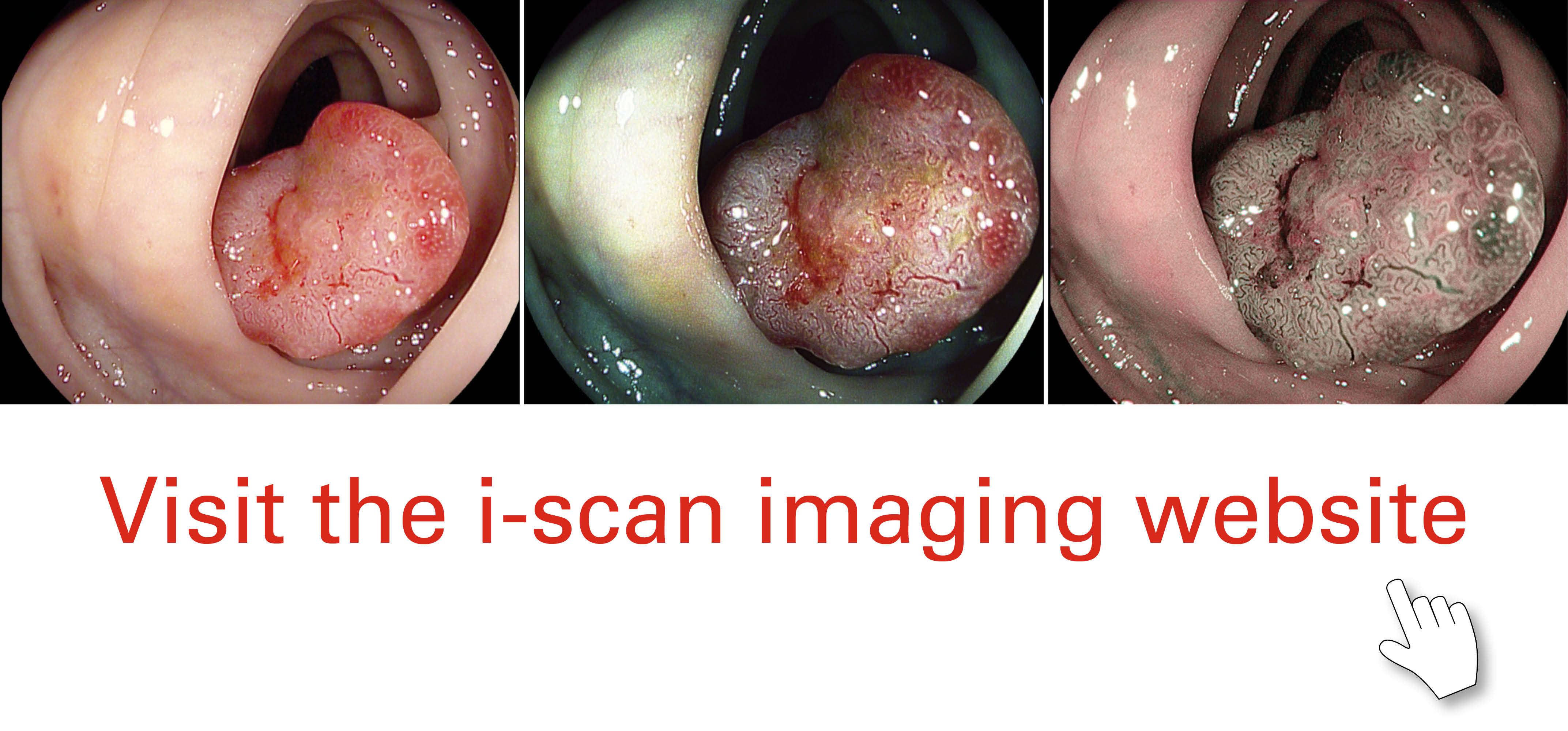 Visit the i-scan imaging website